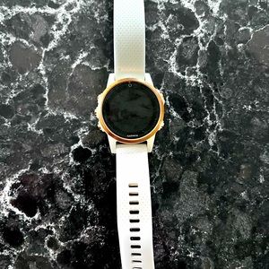 Garmin Fenix 5s